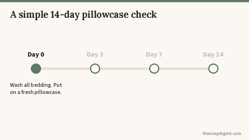 Animated timeline of a 14-day pillowcase check: day 0 wash bedding, day 3 sniff, day 7 swap, day 14 compare