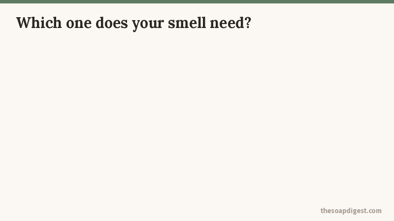 Animated four-step guide: find where the smell is, check when it appears, run the shower test, then match the product to the process